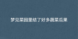 夢(mèng)見(jiàn)菜園里結(jié)了好多蔬菜瓜果
