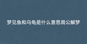 夢見魚和烏龜是什么意思周公解夢