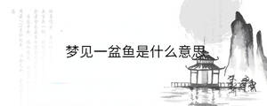 夢見一盆魚是什么意思