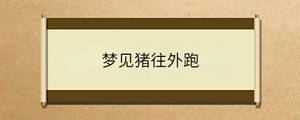 問答 - 2023-08-03T133542.639.jpg