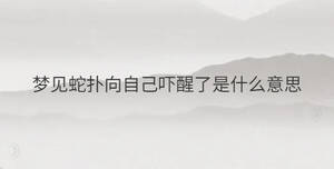 夢見蛇撲向自己嚇醒了是什么意思