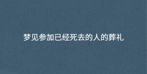 深色背景 - 2023-08-09T104532.991.jpg
