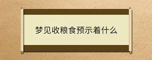 問答 - 2023-08-10T152014.045.jpg