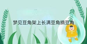 夢(mèng)見豆角架上長滿豆角摘豆角