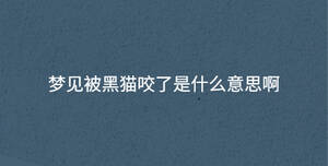 深色背景 - 2023-08-14T143102.025.jpg
