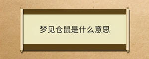 問答 - 2023-08-17T102535.002.jpg