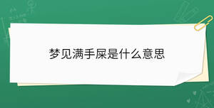 夢見滿手屎是什么意思