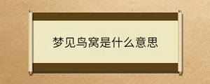 問答 - 2023-08-22T110953.350.jpg