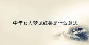 傳統(tǒng) - 2023-08-24T150900.236.jpg