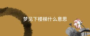 起名 - 2023-08-29T092724.050.jpg